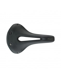 Regal Short Carbon FX