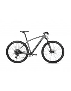 rower Point SX Eagle 2026