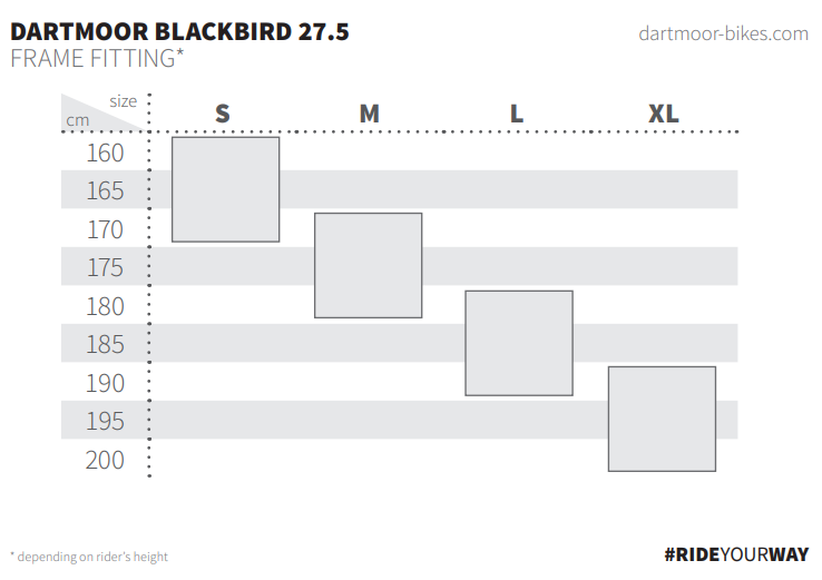 blackbird275 frame 2020.png