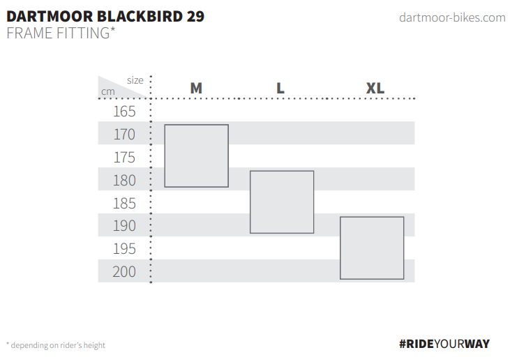 blackbird275 frame 2020.png